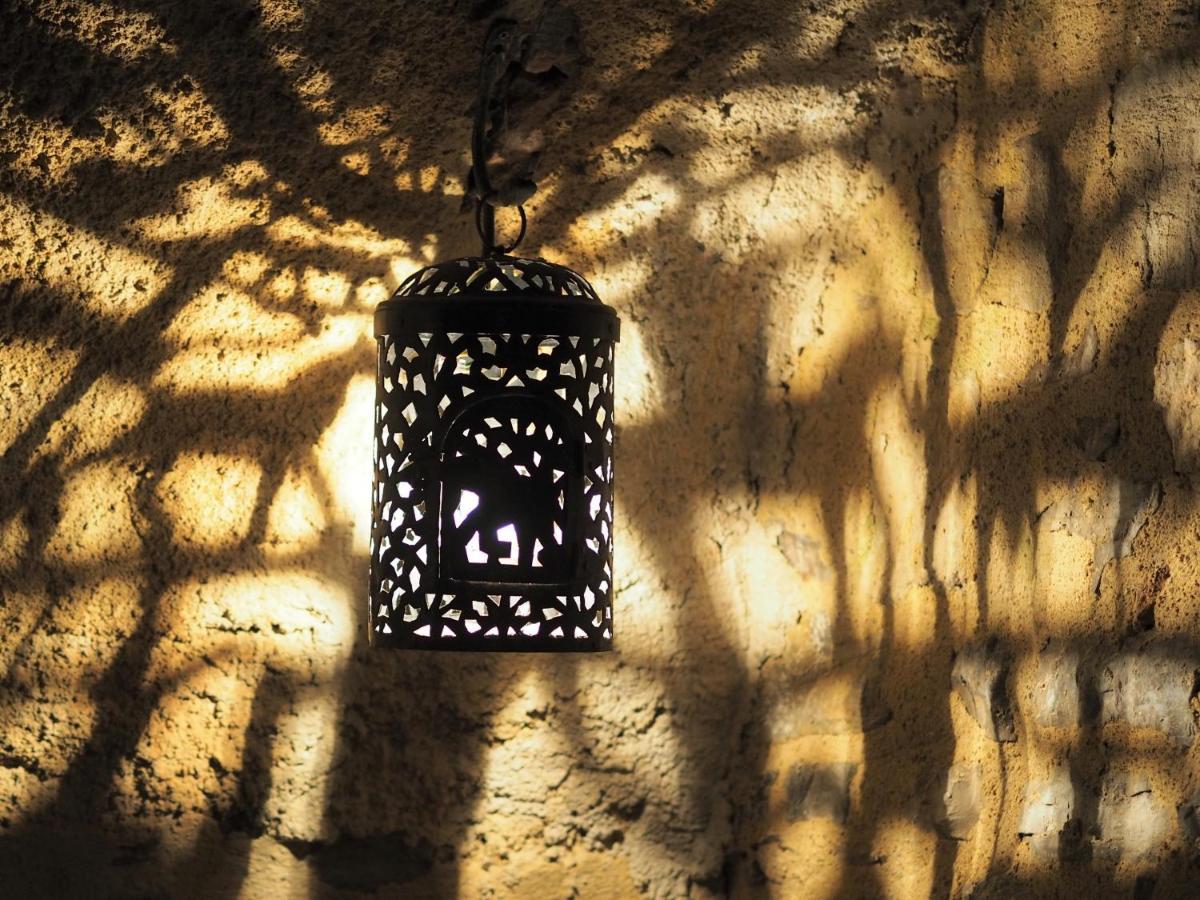 Chambres d'Hôtes Le Secret du Chat Cordes-sur-Ciel Extérieur photo