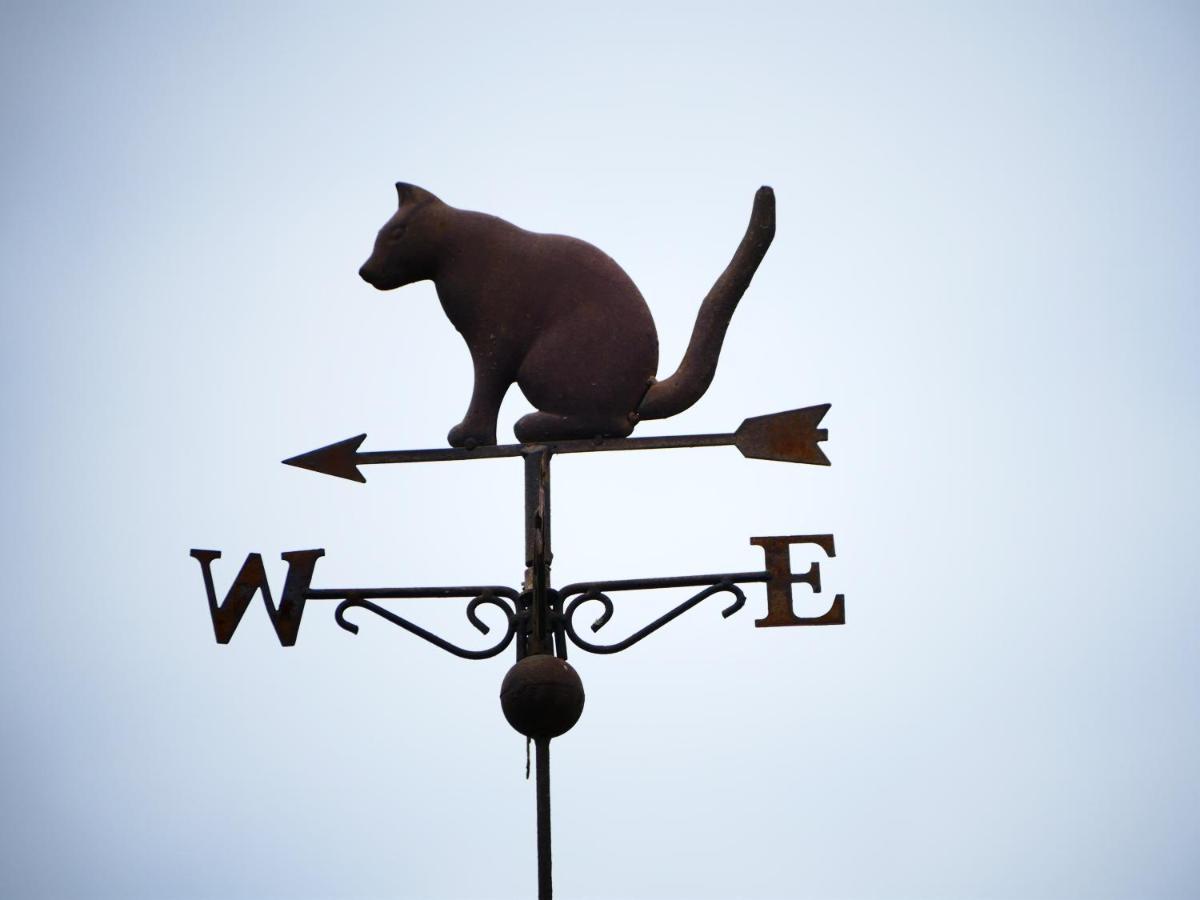 Chambres d'Hôtes Le Secret du Chat Cordes-sur-Ciel Extérieur photo